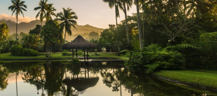 The farm at san benito - thumbnail